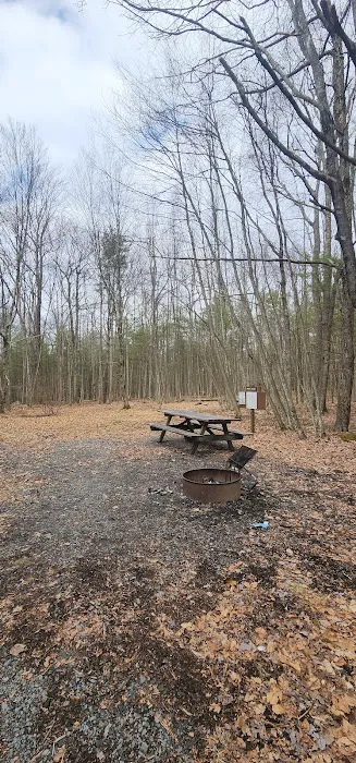 White Deer Campsite 4