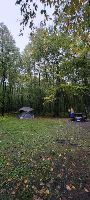 White Deer Campsite 2