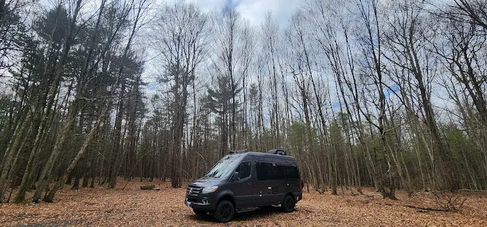 White Deer Campsite 8