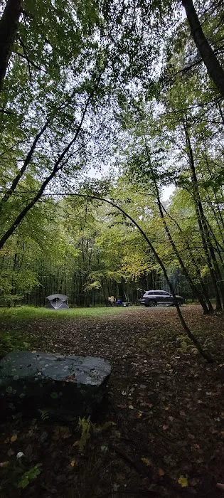 White Deer Campsite 0