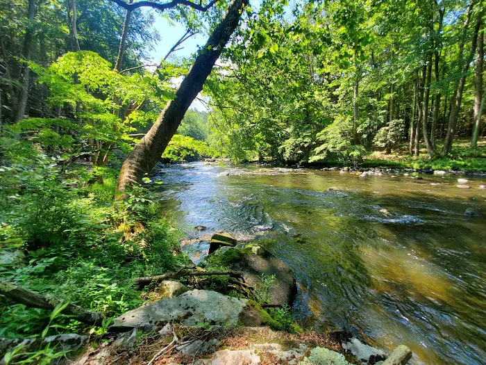 Jerry’s Three River Campground 3