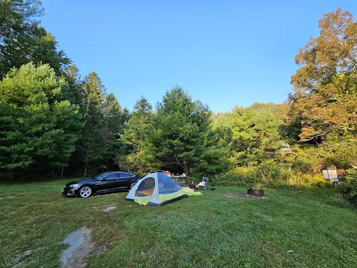 Delaware State Forest campsite #E014 1