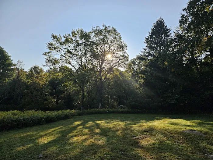 Delaware State Forest campsite #E014 2