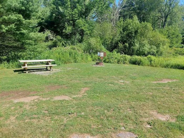 Delaware State Forest campsite #E014 0