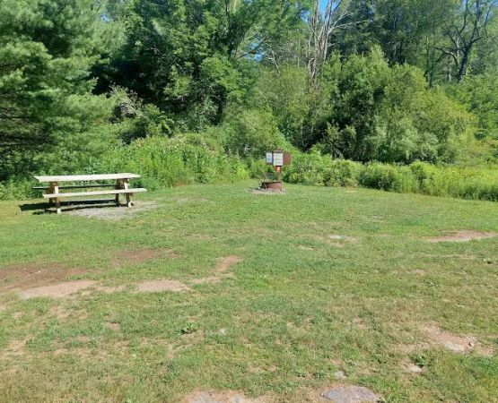 Delaware State Forest campsite #E014