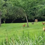 Empire Campgrounds - A Pictures is Worth a Thousand Words