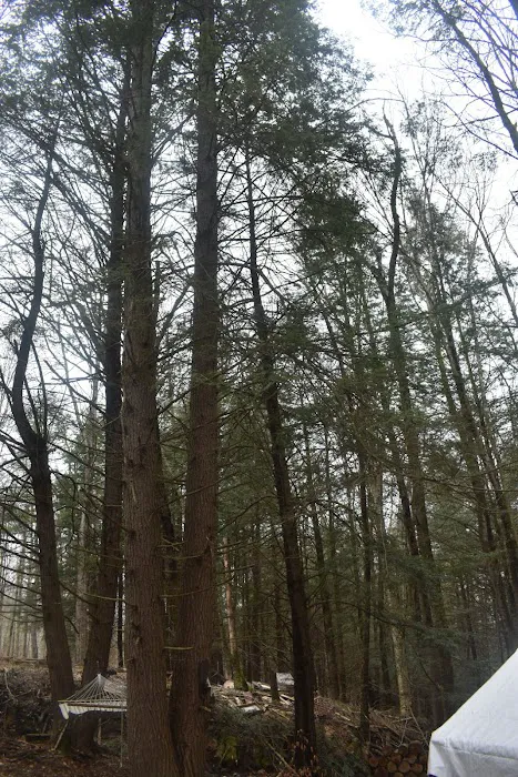 The Camp at Twin Creeks 0