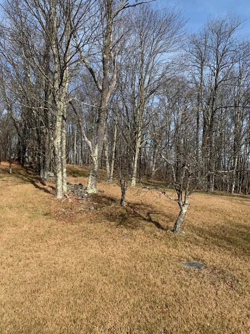 Namaste Catskills 2