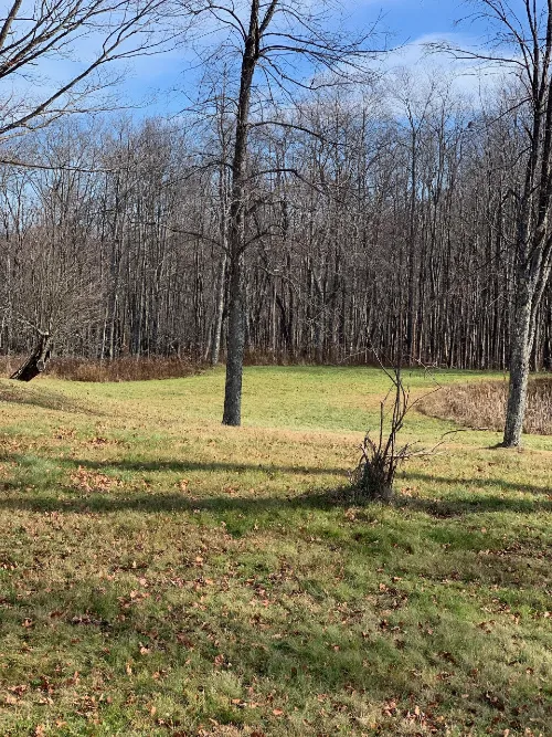 Namaste Catskills 1
