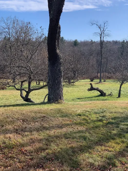 Namaste Catskills 3