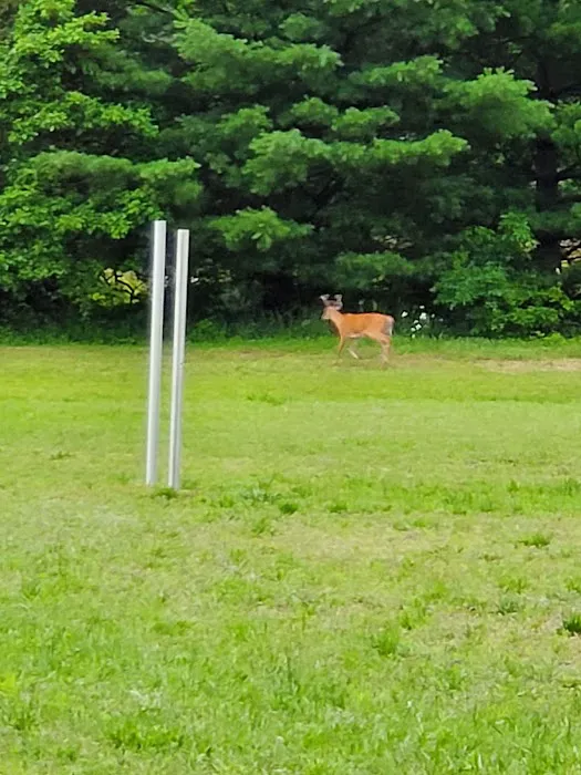 Oak Shores Campground 7