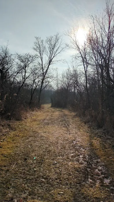 Goodenow Grove Nature Preserve Camping Pod 1