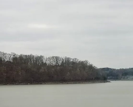 Long Point Group Campsite