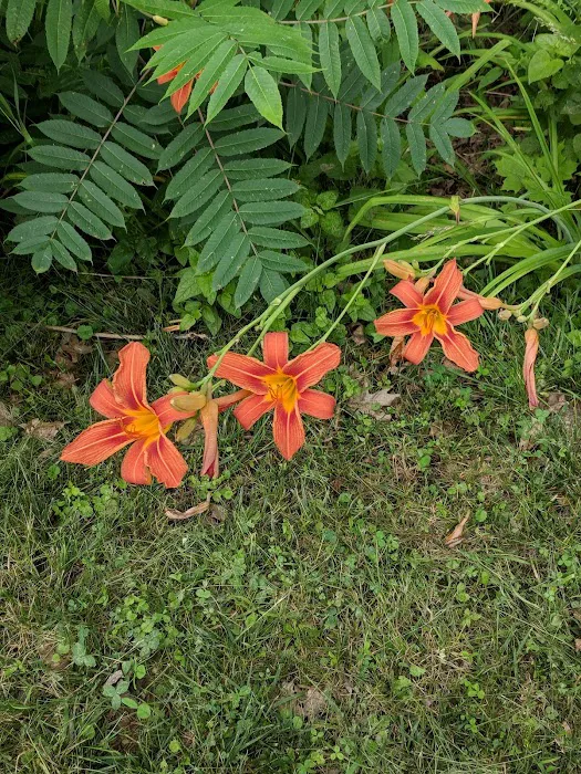 Kentuckiana Kampground 9