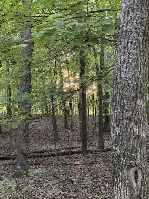 Opossum Creek Recreation Area 4