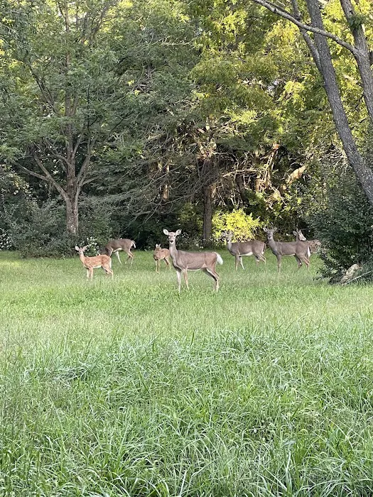 Opossum Creek Recreation Area 9