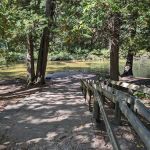 Forks State Forest Campground