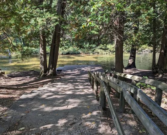 Forks State Forest Campground