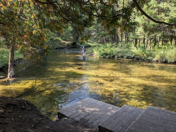 Forks State Forest Campground 5