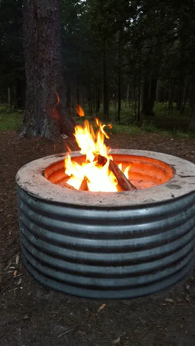 Forks State Forest Campground 9