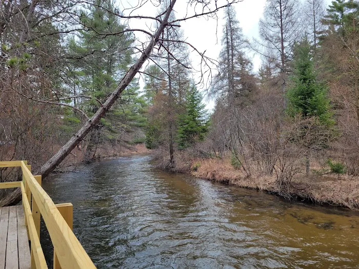 Forks State Forest Campground 3