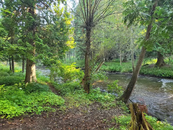 Forks State Forest Campground 8