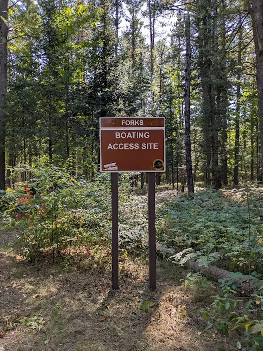 Forks State Forest Campground 4
