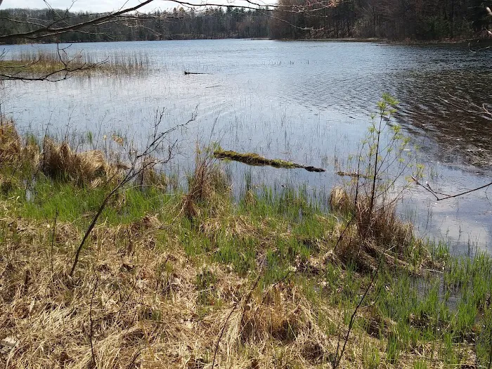 Guernsey Lake State Forest Campground 9