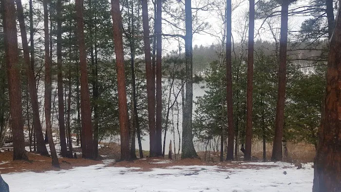 Guernsey Lake State Forest Campground 7
