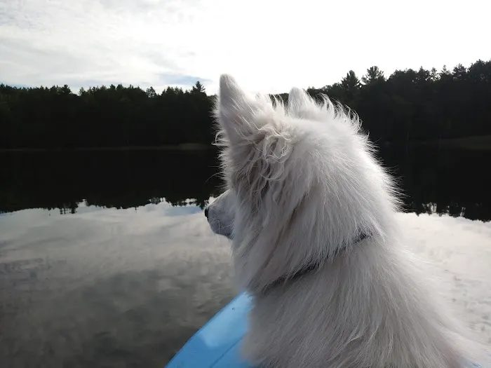 Guernsey Lake State Forest Campground 4