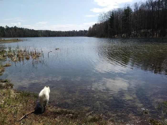 Guernsey Lake State Forest Campground 2