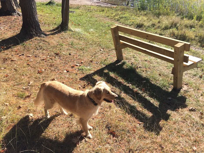 Guernsey Lake Campground 4