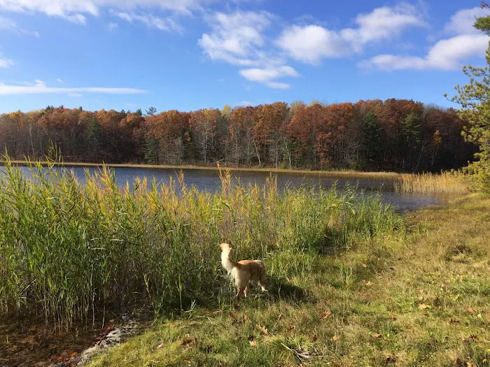 Guernsey Lake Campground 6