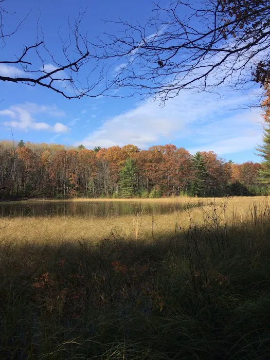 Guernsey Lake Campground 3
