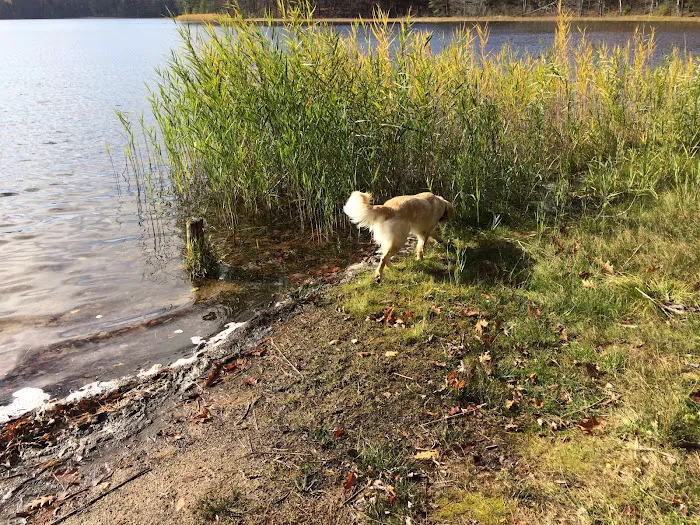 Guernsey Lake Campground 8