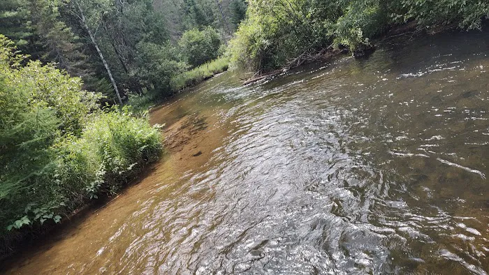 Scheck's Place State Forest Campground 2