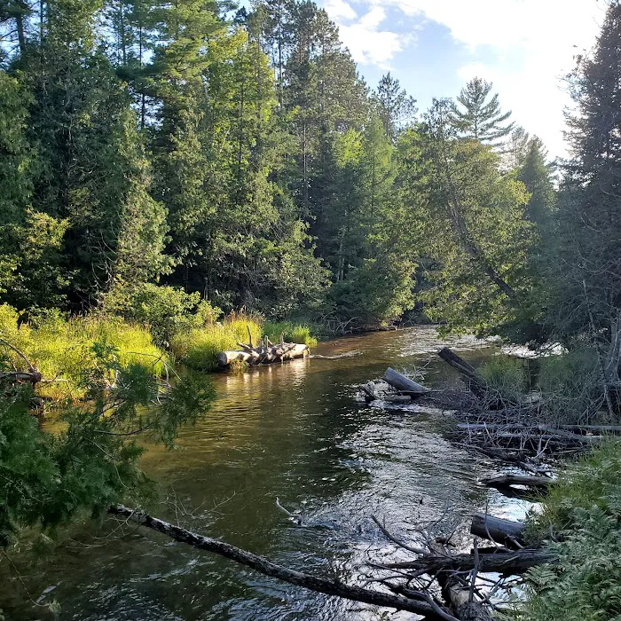 Scheck's Place State Forest Campground 0