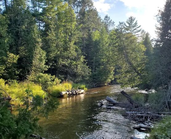 Scheck's Place State Forest Campground