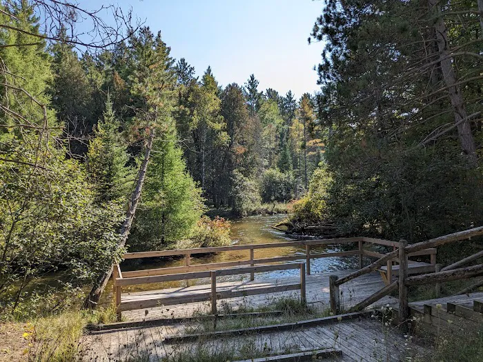 Scheck's Place State Forest Campground 6