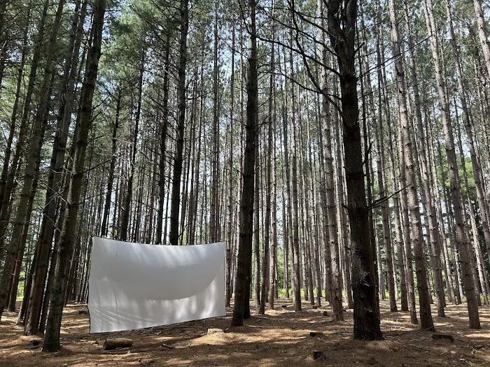 Leelanau Pines Campground 6