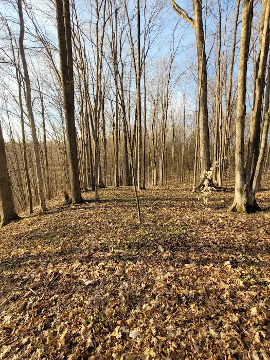 Lake Ann State Forest Campground 0