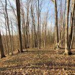 Lake Ann State Forest Campground