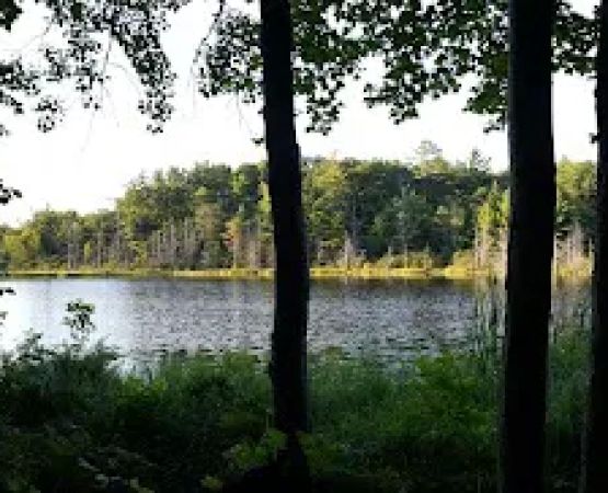 Lake Ann State Forest Campground