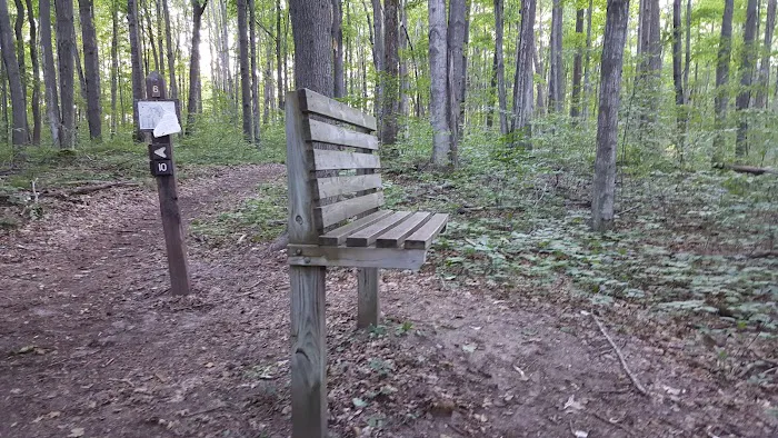 Lake Ann State Forest Campground 1
