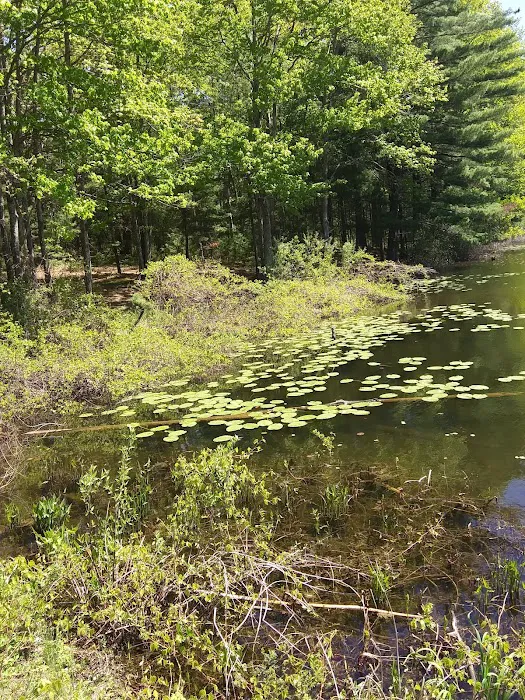 Lake Dubonnet Trail Camp 3