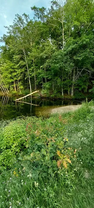 Lake Dubonnet Trail Camp 2