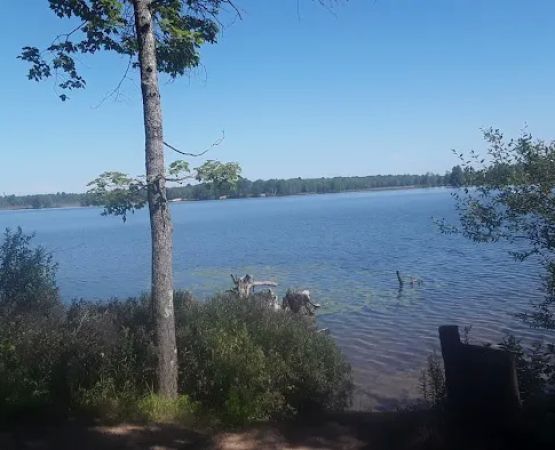 Lake Dubonnet Trail Camp
