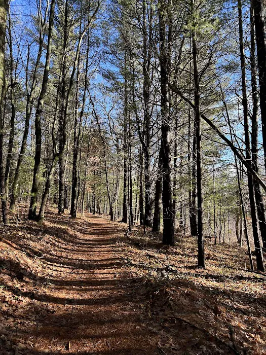 Lake Dubonnet Trail Camp 5