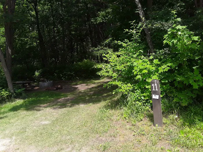 Garey Lake Trail Camp 2