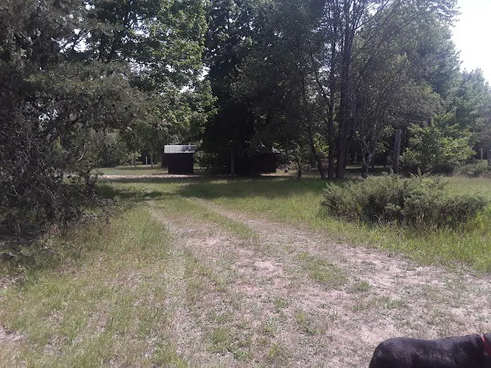 Garey Lake Trail Camp 5